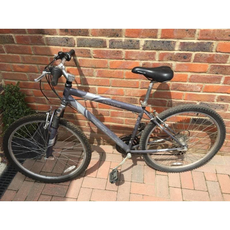 Women's mountain bike