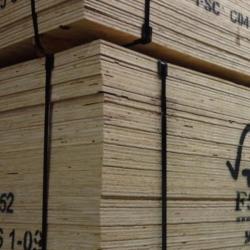 Plywood 18 MM cdx