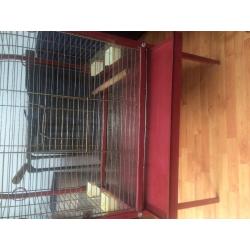 Bird/ parrot cage