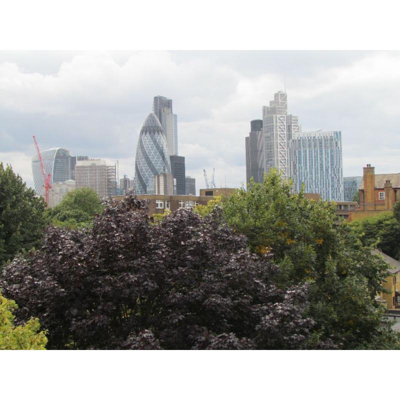 DOUBLE ROOM TO RENT - 10 WALKING DISTANCE MINUTES TO DOCKSLAND, CANARY WHRAF