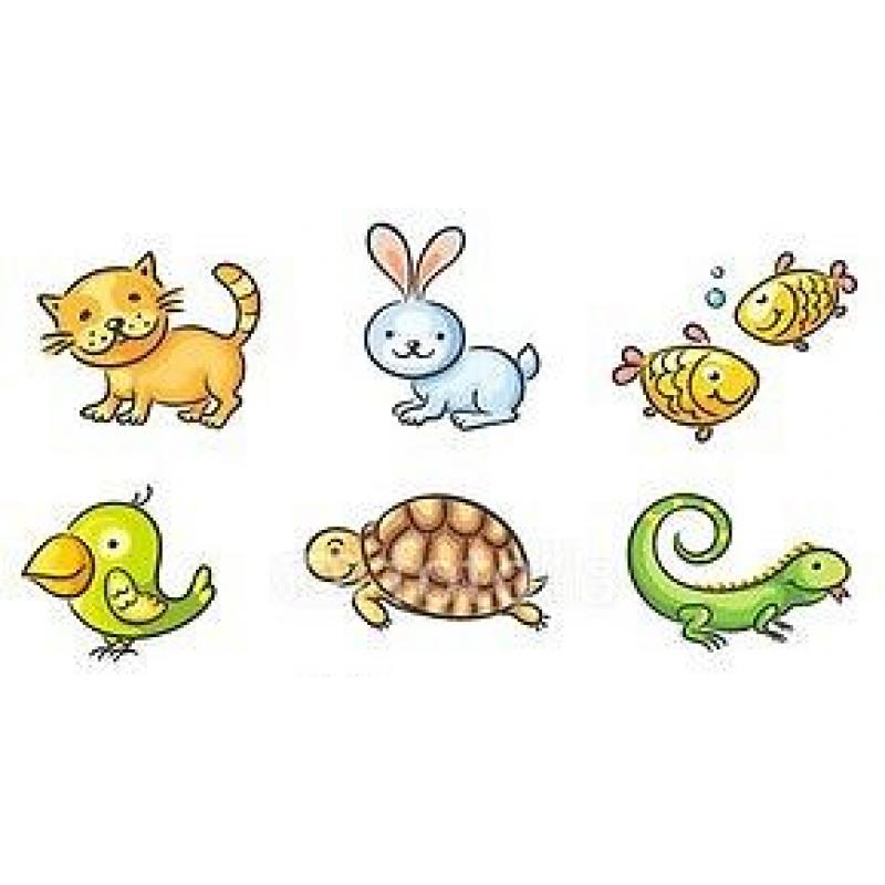 Pet and Property sitter LONDON AREA - FREE cat sitting, exotic and fancy pets, fish and reptiles