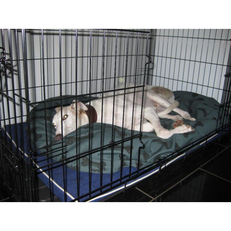 Heavy Duty Giant Size Dog Crate.