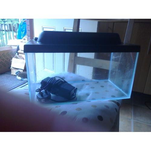 fish tank