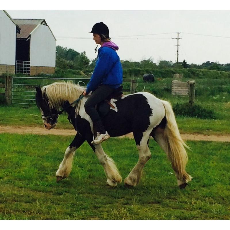Lovely cob
