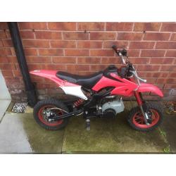 Gokart and dirt bike both need attention but both run
