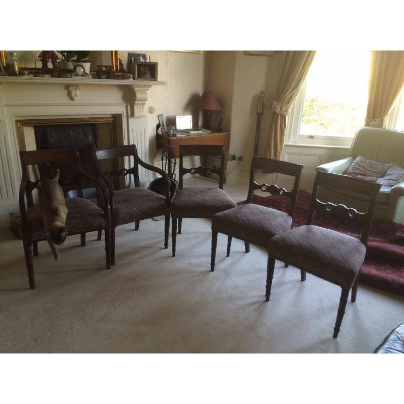 5 chairs Victorian wooden genuine Victorian, 2 with arms. Fantastic quality