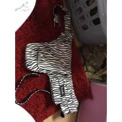 Cutting belt and back mirror