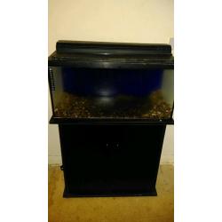 2.5ft Hagen fish tank