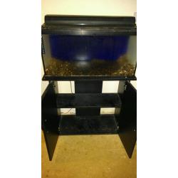 2.5ft Hagen fish tank