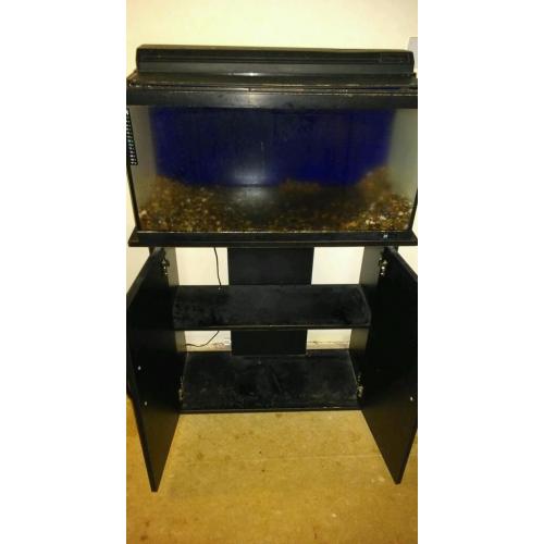 2.5ft Hagen fish tank