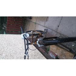 Gt ruckus uf