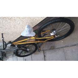 Gt ruckus uf