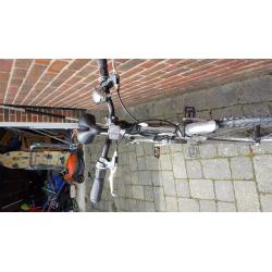 Women's Apollo Etienne Bike