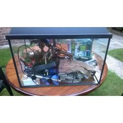 Fish tank 80l with accessories