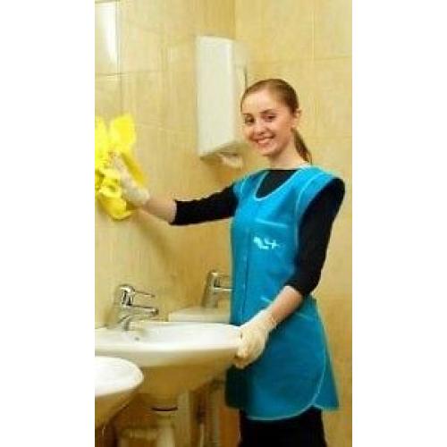 Cleaner job, part time, cleaning and ironing work in private houses Beaconsfield HP9
