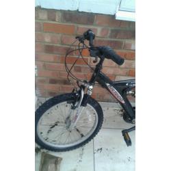 Mountain bike kids "DIRTDOG"