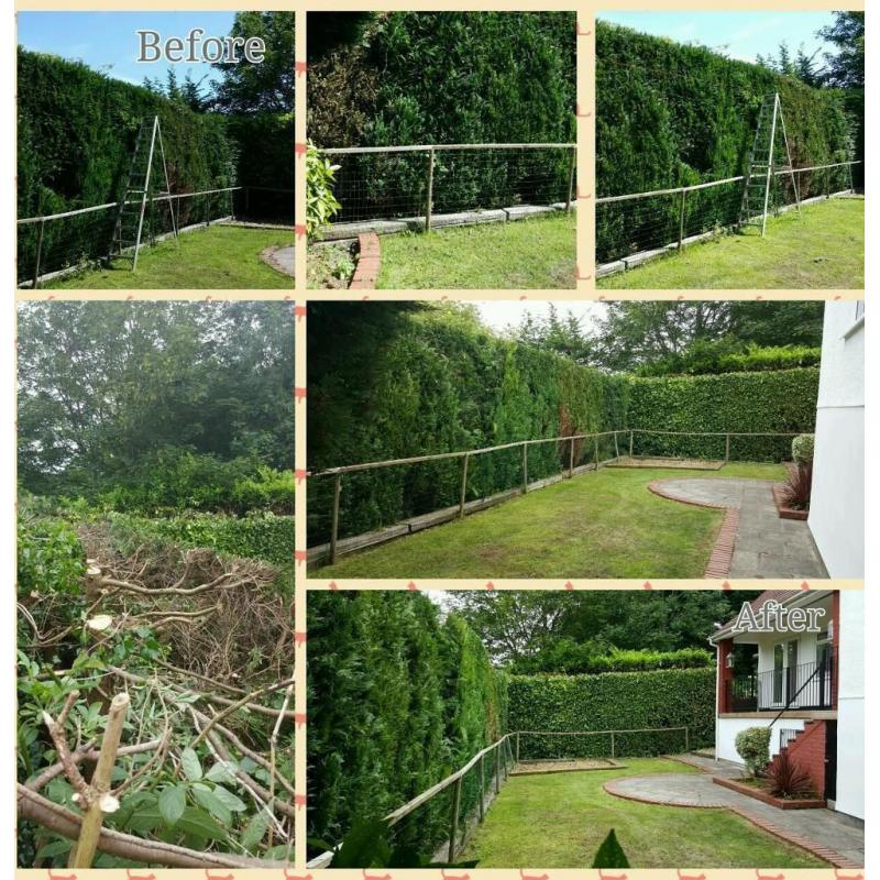 NICE GARDEN
