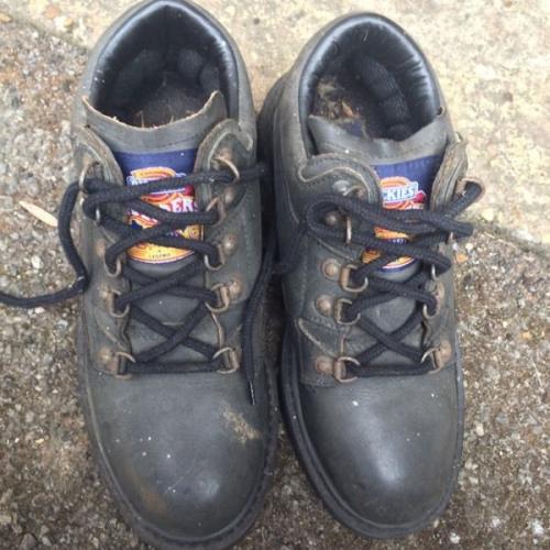 Dickies size 8