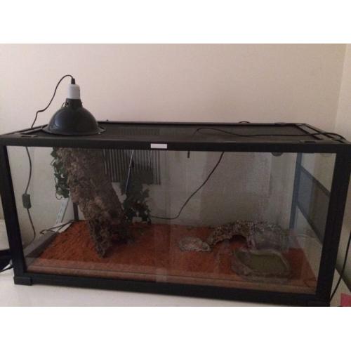 Vivarium