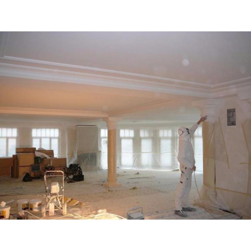 Polish plasterer,painter(just big areas)