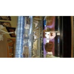 POLAR REFRIGERATED COUNTERTOP DISPLAY CHILLER 160ltr in excellent condition.