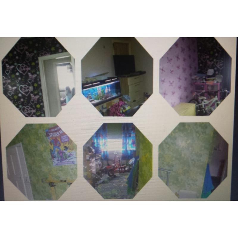 Exchange Wanted