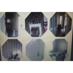 Exchange Wanted