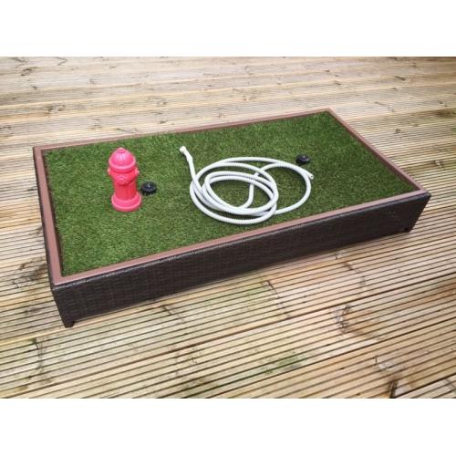 Dog toilet training