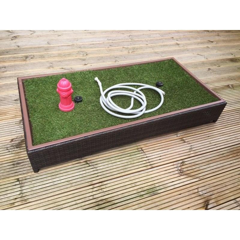 Dog toilet training