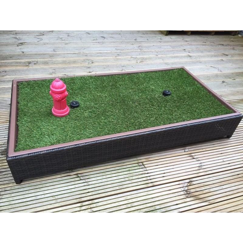 Dog toilet training