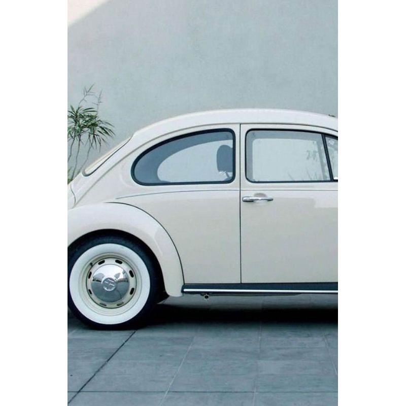 VW Beetle glass