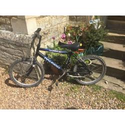 RALEIGH SABATOR BOYS BIKE