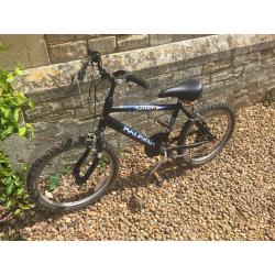 RALEIGH SABATOR BOYS BIKE
