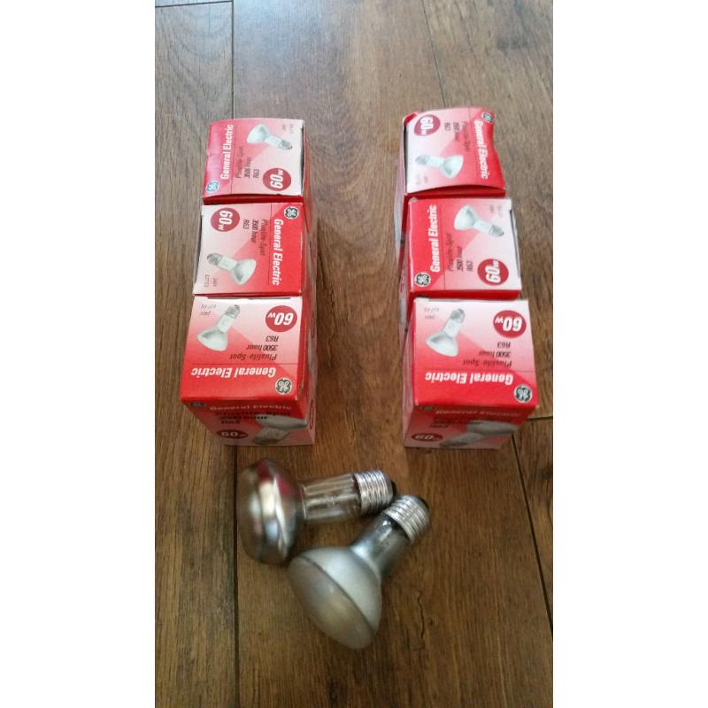 SPOT LAMPS BULBS R63 60W X8