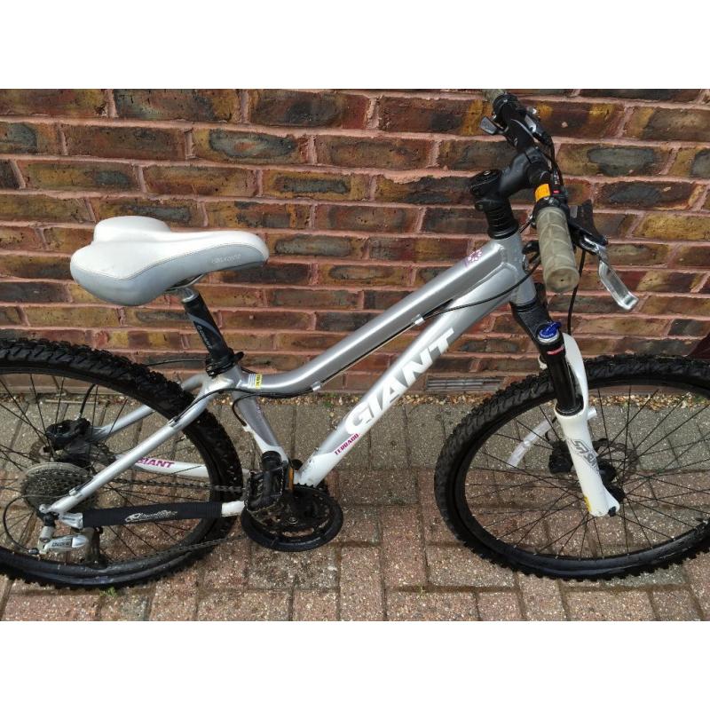 Giant Moutain Bike