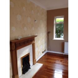 Looking for job painting