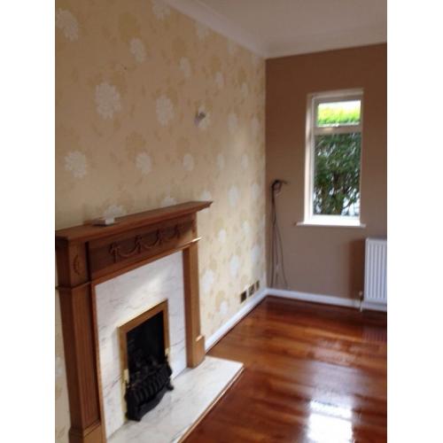 Looking for job painting