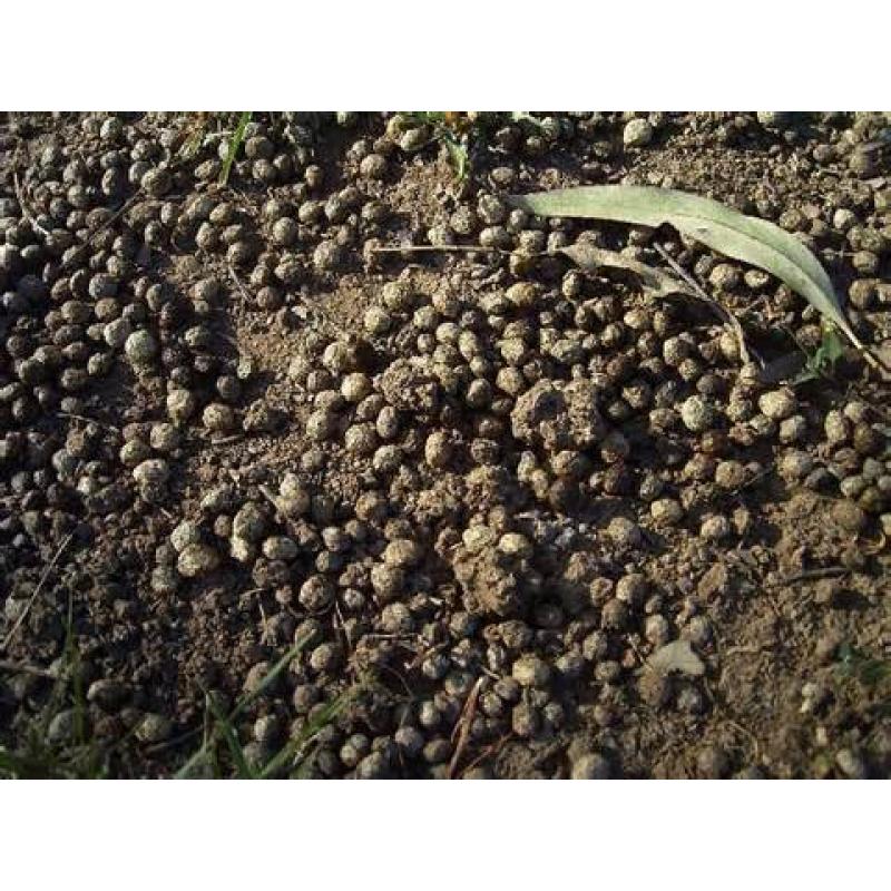Bagged Rabbit Manure