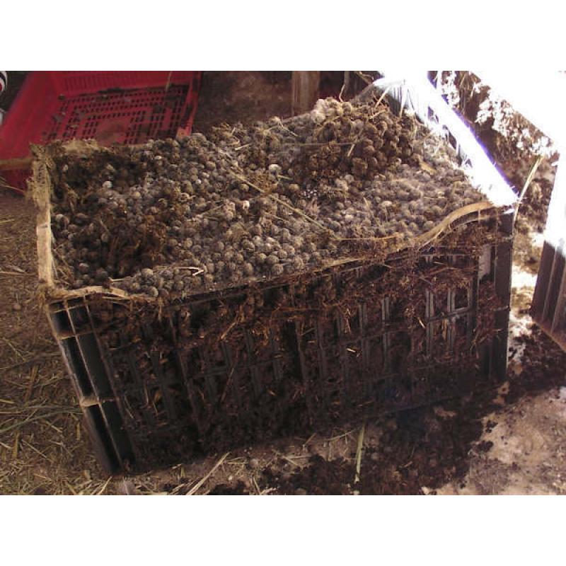 Bagged Rabbit Manure