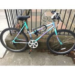URGENT Women's bicycle + D lock + lights + seat cover
