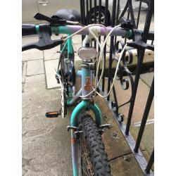URGENT Women's bicycle + D lock + lights + seat cover
