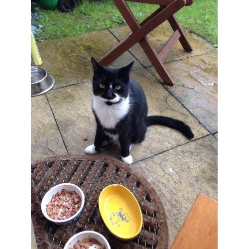 New home needed for Cookie