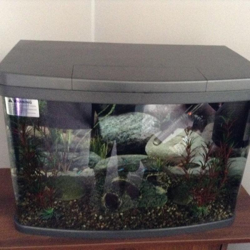 For sale 64,ltr tank all ect and fish