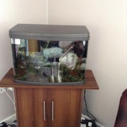 For sale 64,ltr tank all ect and fish