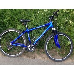 Women's bike 17"