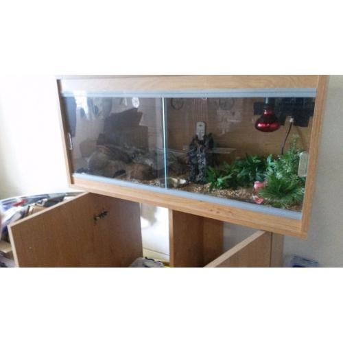 Vivarium for snake
