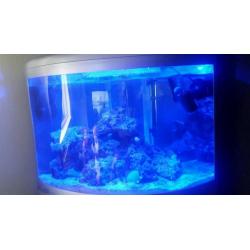 Aquaray Led blue light with psu