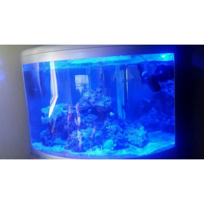 Aquaray Led blue light with psu