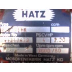 Hatz engine