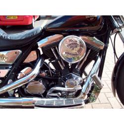 Harley Davidson FXRS 1990
